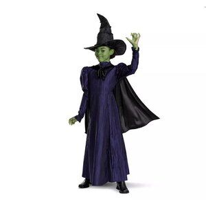 Disguise Kids' Wicked Movie Halloween Deluxe Costume Elphaba Cosplay Various